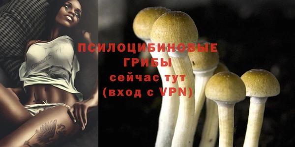 Альфа ПВП Дмитров