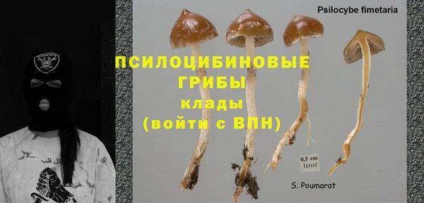 Альфа ПВП Дмитров