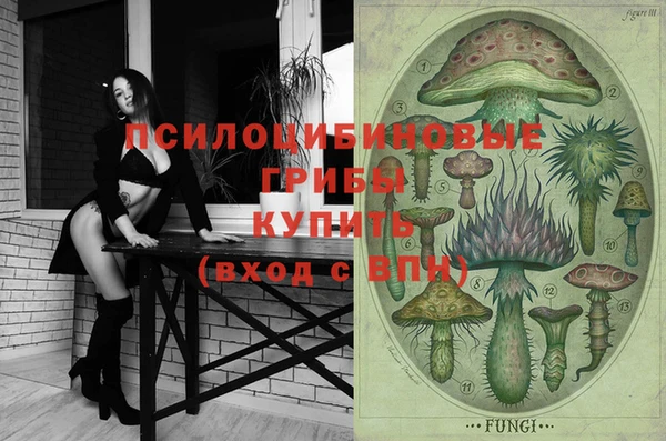 Альфа ПВП Дмитров